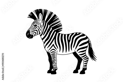 A black and white zebra silhouette standing proudly with a flowing mane and tail in a minimalist vector illustration