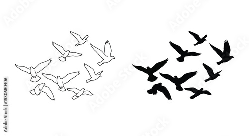 Birds in flight contrasting outlines and a dark silhouette