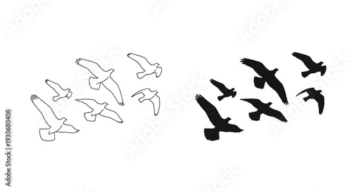 Birds in flight a contrasting study of line art and silhouette