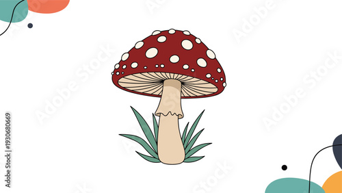 Single red fly agaric mushroom with white spots growing in green grass over an abstract minimalist colorful background.