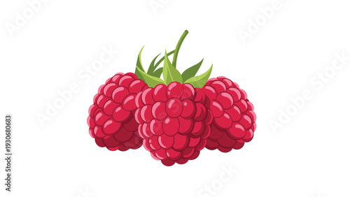 Cluster of three fresh red raspberries with green leaves representing healthy organic fruit and natural forest food.