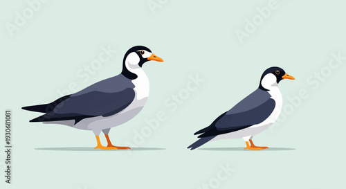 Two birds stand side by side, one larger than the other, against a pale green background