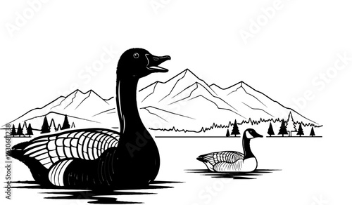Two geese swimming on water with mountains and trees in the background