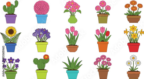 Potted flowers and houseplants vector set with colorful blooming plants isolated garden illustration collection