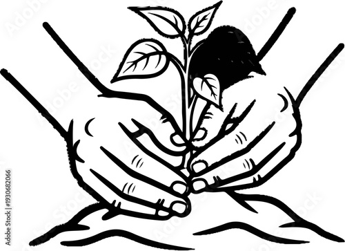 Two hands cradle a growing plant, symbolizing care and new beginnings