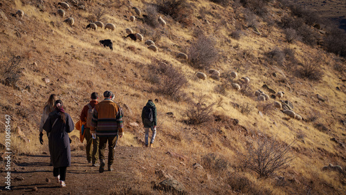 Hikers Following a Path Near Grazing Sheep