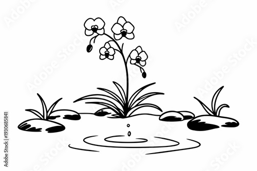 A serene black and white vector illustration of a flower growing among rocks and water