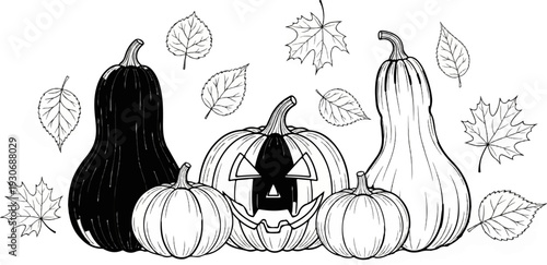 Whimsical black and white illustration of pumpkins and autumn leaves