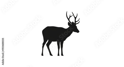 Deer Silhouette with Antlers Standing.