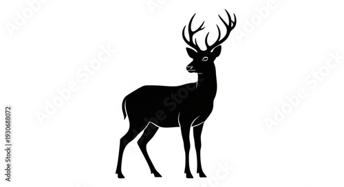 Deer Silhouette with Antlers Standing.