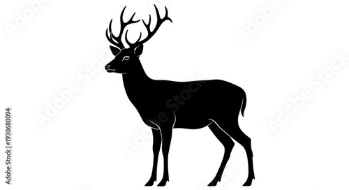 Deer Silhouette with Antlers Standing.
