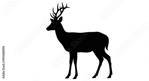 Deer Silhouette with Antlers Standing.