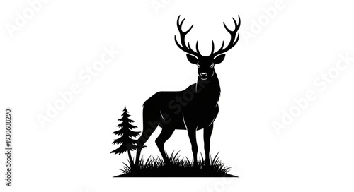 Deer Silhouette with Antlers Standing.