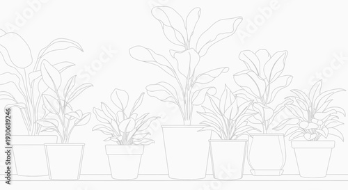 Potted plants on shelf against window
