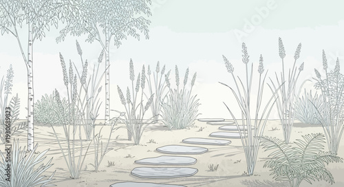 Serene desert garden pathway with stones and plants