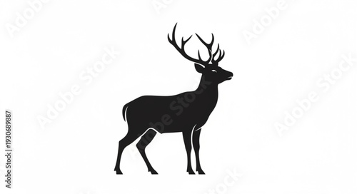 Deer Silhouette with Antlers Standing.