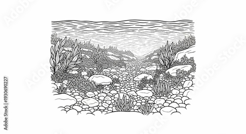 Underwater view of a rocky stream bed with aquatic plants and ripples