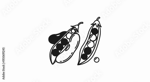 Two open pea pods with seeds, plus one bean