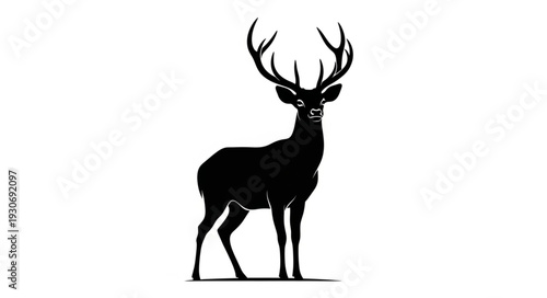 Deer Silhouette with Large Antlers.