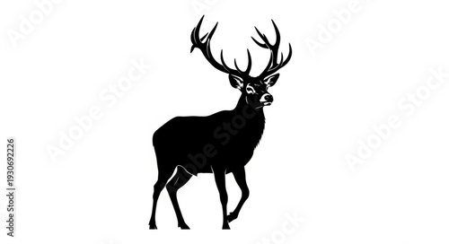 Deer Silhouette with Large Antlers.
