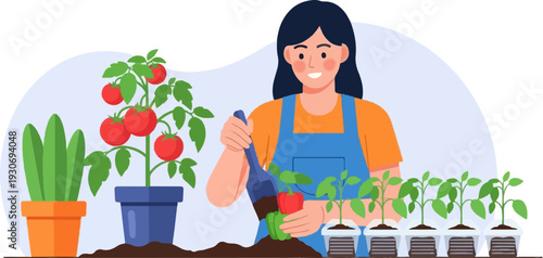 Woman tending to tomato plants and seedlings in pots, gardening