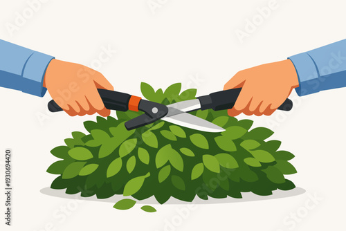 Hands trimming a bush with hedge shears for garden maintenance work