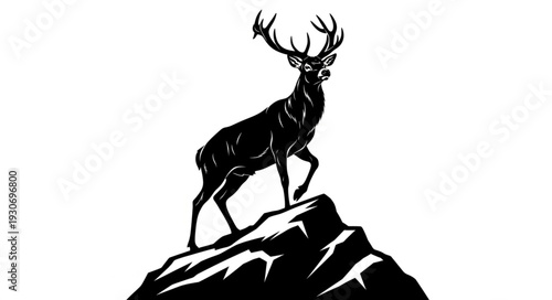 Deer Standing on Rocky Outcrop Silhouette.