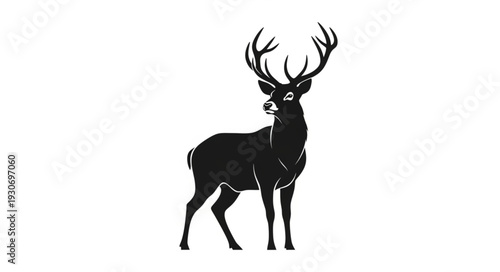 Deer with Large Antlers Standing.