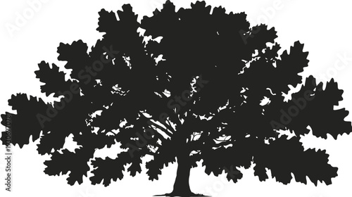 Silhouetted illustration of a large oak tree with detailed foliage, isolated on a white background