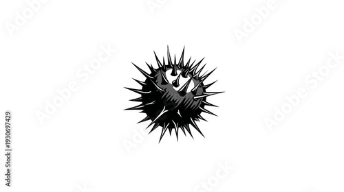 A stylized illustration features a round object densely covered in sharp, pointed spikes, black and white