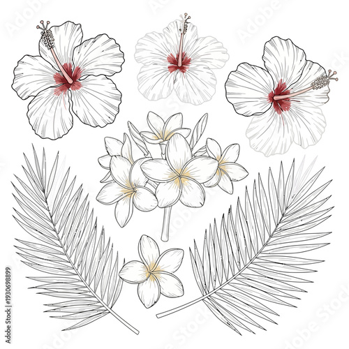 Vibrant collection of hand-drawn tropical flowers and palm leaves, perfect botanical illustrations for exotic summer designs and island-themed decorations