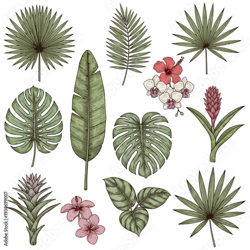Collection of tropical leaves and flowers, showcasing lush botanical elements found in rainforests and exotic gardens