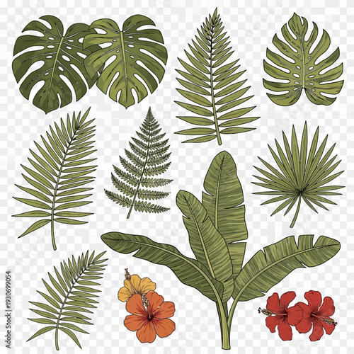 Collection of hand-drawn tropical leaves and exotic flowers including monstera, fern, and hibiscus, perfect for nature and botanical illustrations