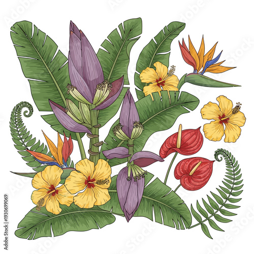 Vibrant Tropical Botanical Illustration featuring Exotic Flowers and Lush Green Leaves, a Hand-Drawn Vector Collection of Hawaiian and Jungle Flora Elements