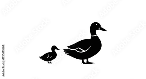 Duck and Duckling Silhouette Profile.