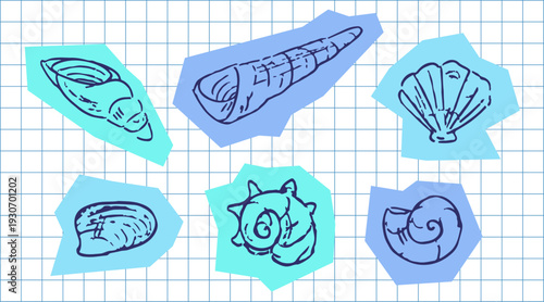 Hand drawn blue sea shells collection on colorful organic shapes, nautical doodle sketch style elements on white grid background for aesthetic scrapbook