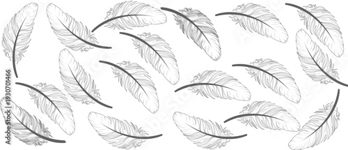 The pattern features hand-drawn sketch style feathers on a plain white background. Hand drawing vintage art realistic quill feathers for pen detailed background. Black fluffy feather