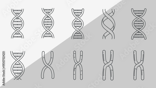 Abstract dna helix and chromosome illustrations representing genetic science