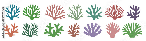  set of different colorful corals on white background