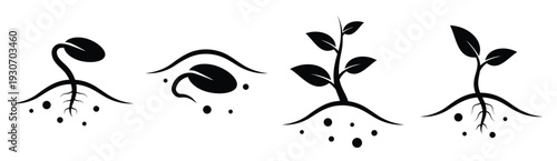 set of plant growth line icon collection seed germination 