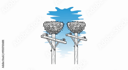 Two bird nests sit atop wooden utility poles against a blue sky