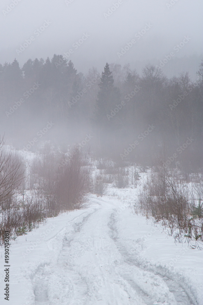 Fototapeta premium Very late winter foggy scene in Gauja National Park in Latvia in the end of February