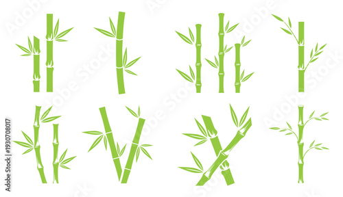 Bamboo with green leaf logo ilustration vector template
