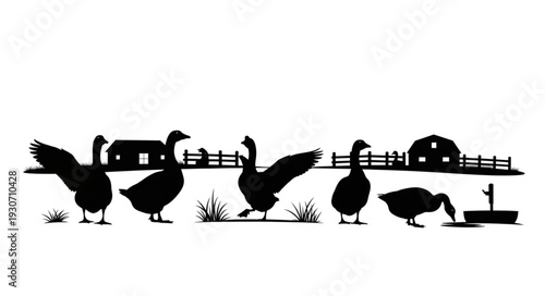 Group of Ducks Near Farmhouse.