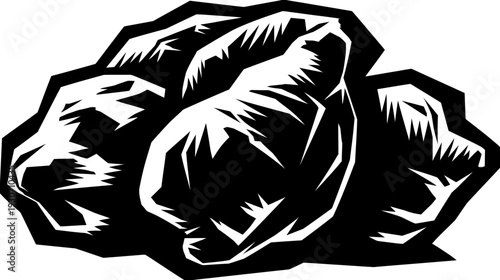 Bold black and white image of a clenched fist, conveying strength and defiance