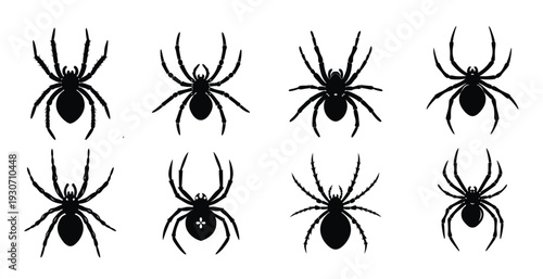  set of black silhouettes of spider icon different spider