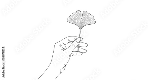 Minimalist hand drawn line art illustration of a hand gently holding a single ginkgo leaf against a white backdrop.