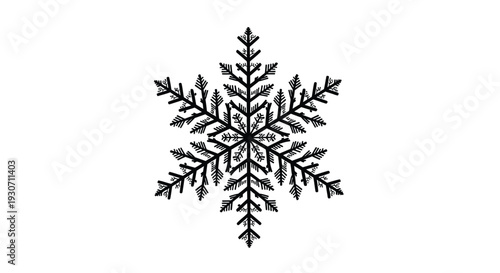 Black snowflake on white background delicate frosty pattern winter symbol natural design element frost ice crystal snow cold weather seasonal texture