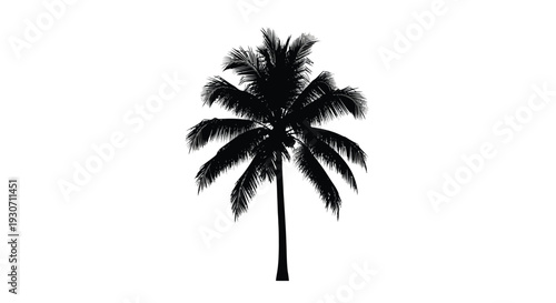 Silhouette of a tall palm tree against a white background symbolizing tropical vacations and relaxation