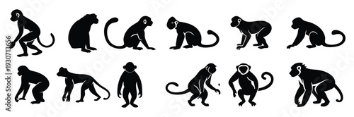 monkey silhouette flat illustration set